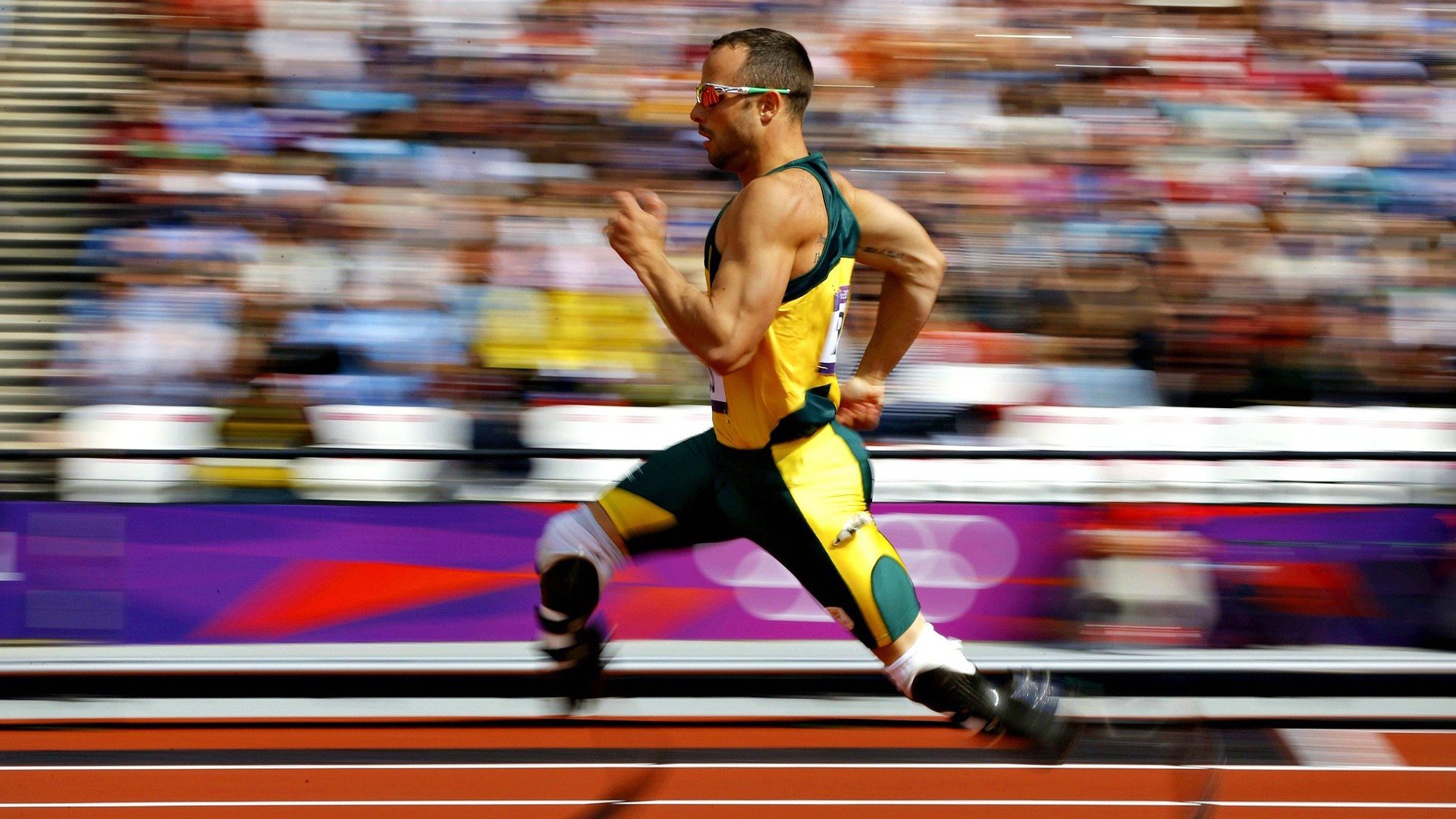 塔图姆展现巨星价值，老鹰决胜局带走深圳队