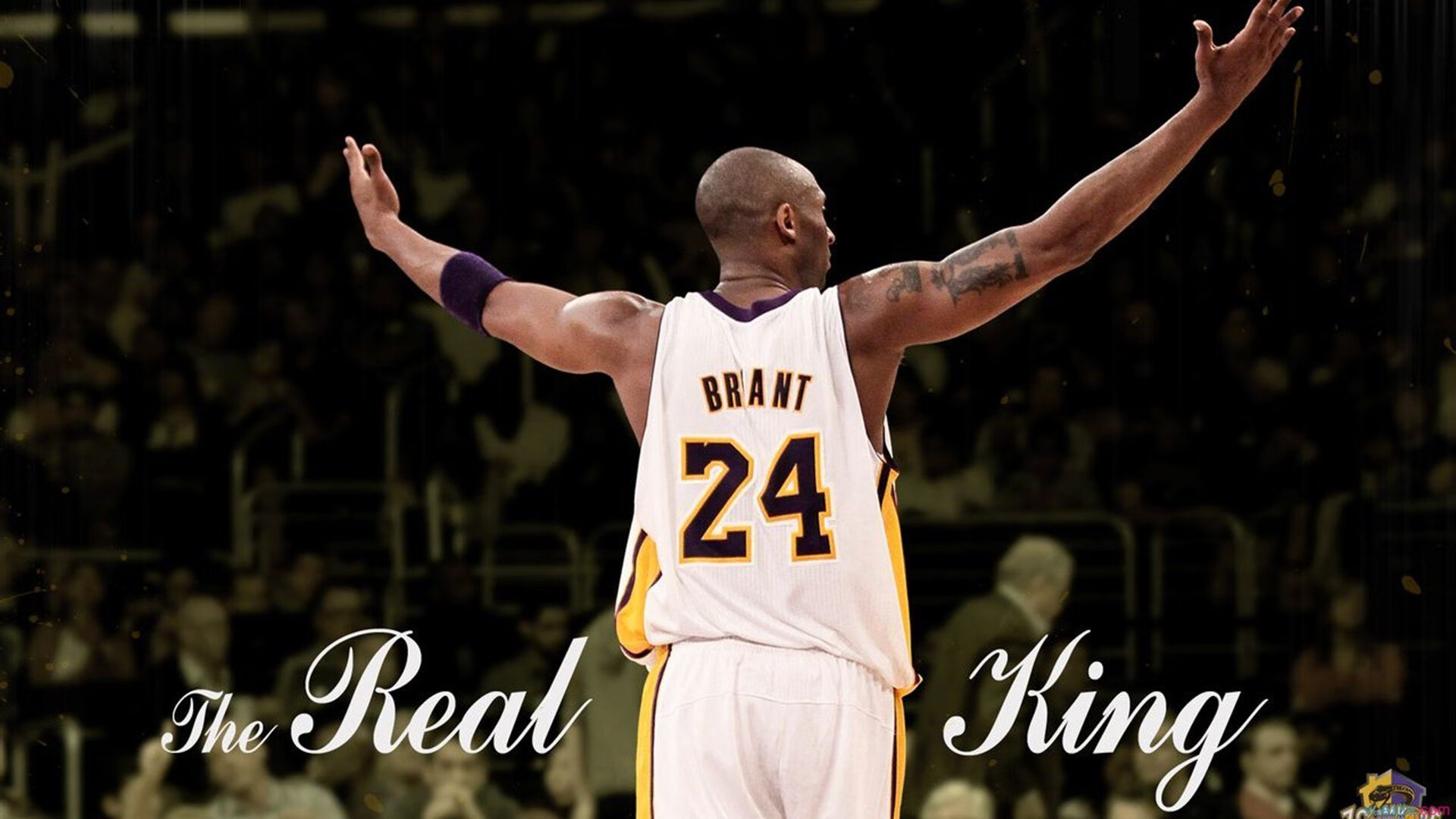 绝境双雄,西亚卡姆压力爆发与掘金压哨绝杀深圳的竞技启示